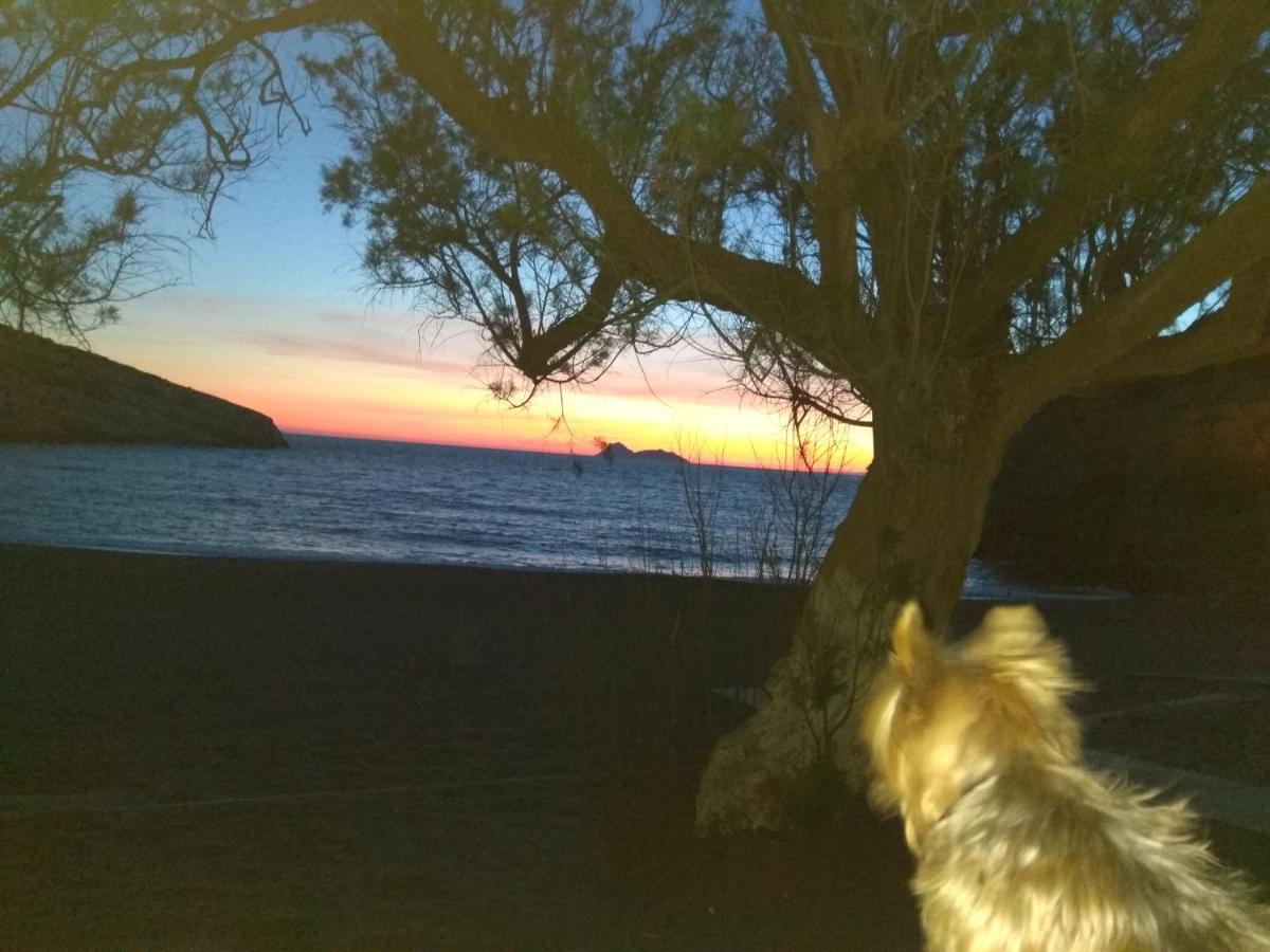 Fantastic Matala 2 Διαμέρισμα Εξωτερικό φωτογραφία